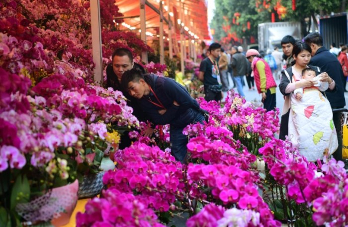 北投花市 北投花市