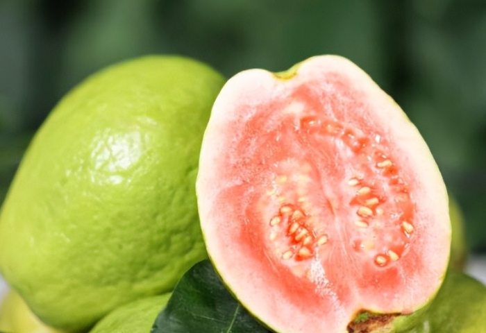 番石榴功效 番石榴功效