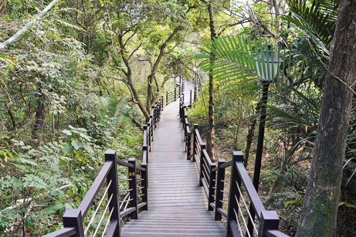 大坑6號步道 大坑6號步道
