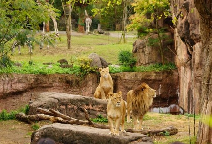 天王寺動物園 天王寺動物園