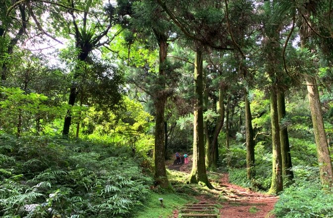 桃園步道