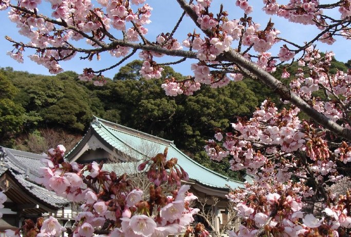 鎮國寺 鎮國寺
