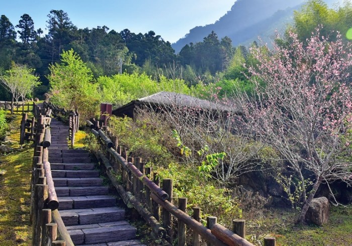 迷糊步道 迷糊步道