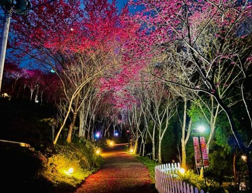 翠墨莊園 翠墨莊園