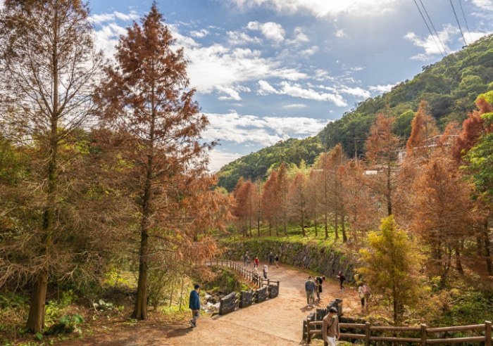陽明山步道 陽明山步道