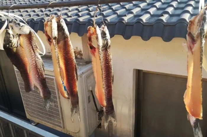 嘉臘魚 嘉臘魚
