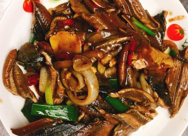 鱔魚