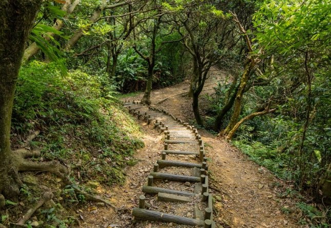 大棟山