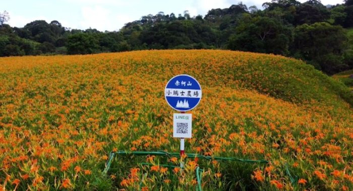 赤柯山小瑞士農場 赤柯山小瑞士農場