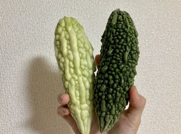 山苦瓜功效及禁忌 山苦瓜功效及禁忌