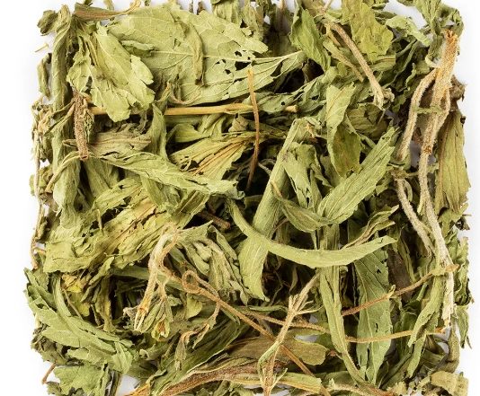 甜菊葉功效 甜菊葉功效