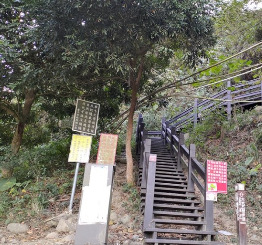 大坑三號登山步道 大坑三號登山步道