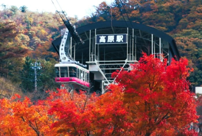 別府纜車 別府纜車