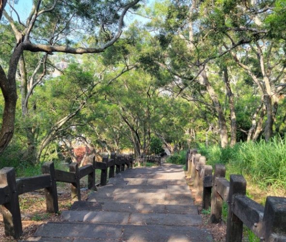 鹿廚坑步道 鹿廚坑步道