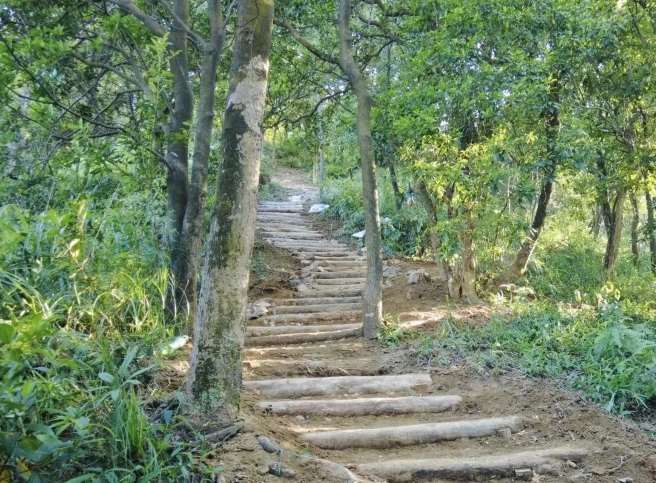 柴山步道 柴山步道