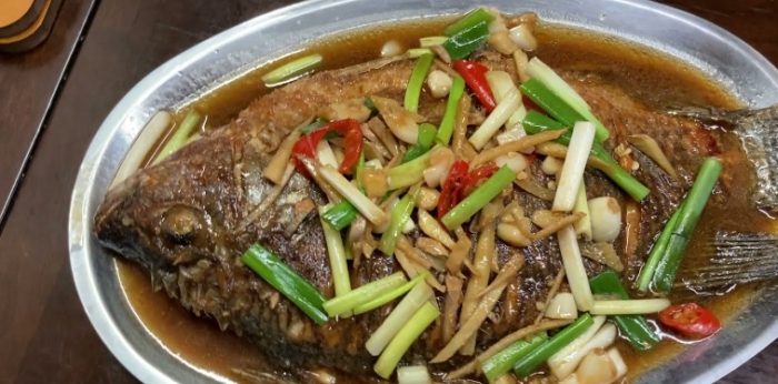 鯛魚 鯛魚