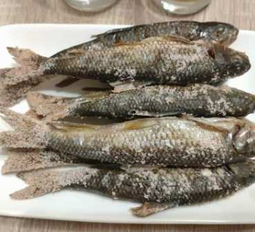 苦花魚 苦花魚