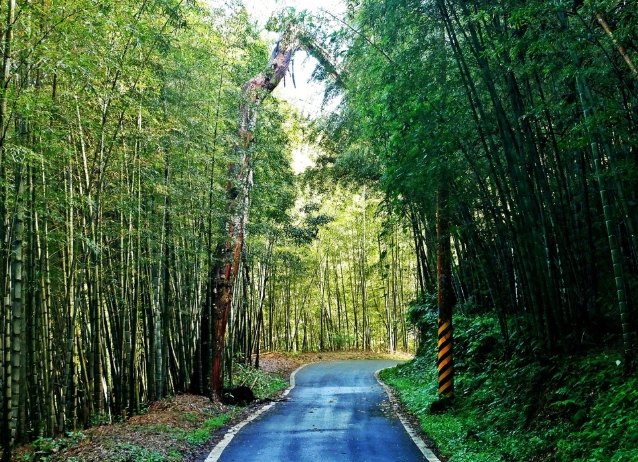 竹崎民宿 竹崎民宿