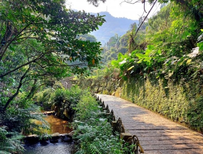 虎山登山步道 虎山登山步道