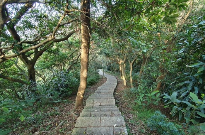虎山親山步道 虎山親山步道