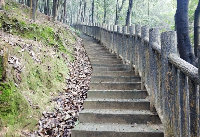 五分山步道 五分山步道