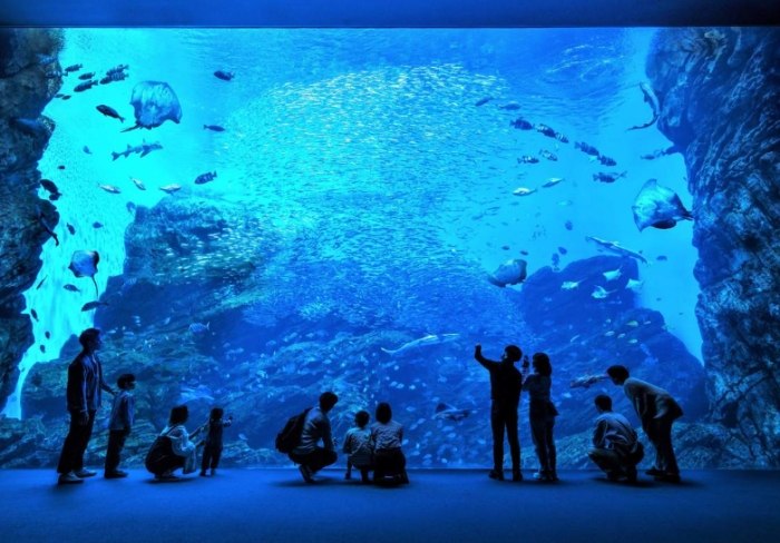 仙台海洋森林水族館 仙台海洋森林水族館