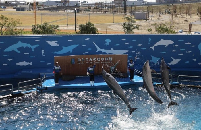 仙台海洋森林水族館 仙台海洋森林水族館