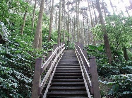 新竹步道 新竹步道