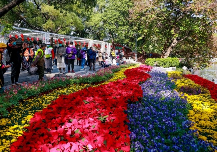 新湖三路口台北花市 新湖三路口台北花市