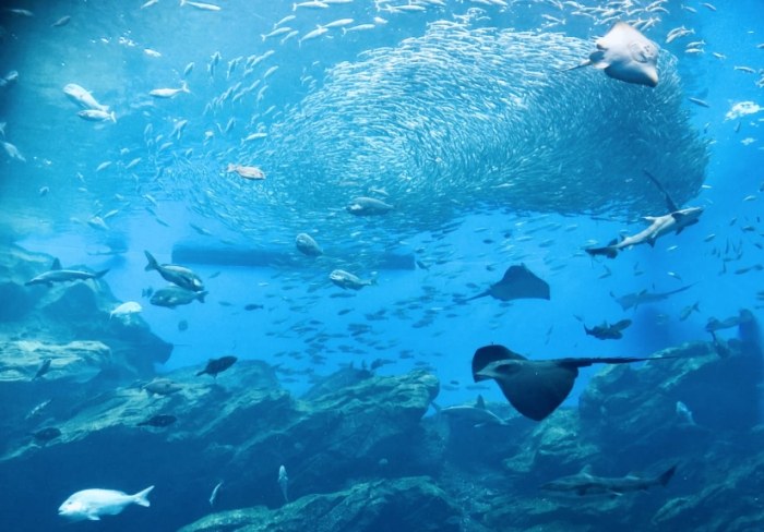 仙台水族館 仙台水族館