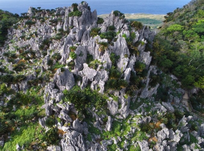 大石林山 大石林山