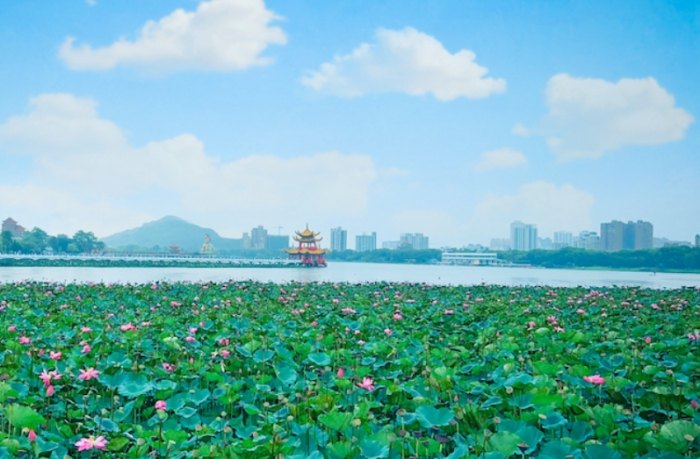 蓮池潭風景區 蓮池潭風景區