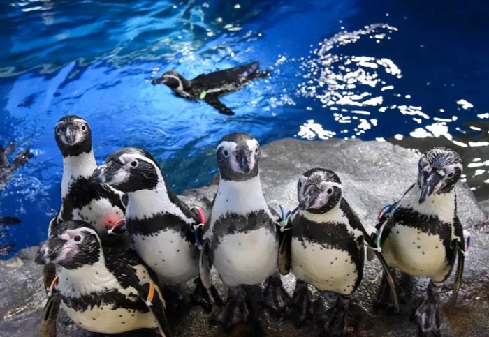 田尾水族館 田尾水族館