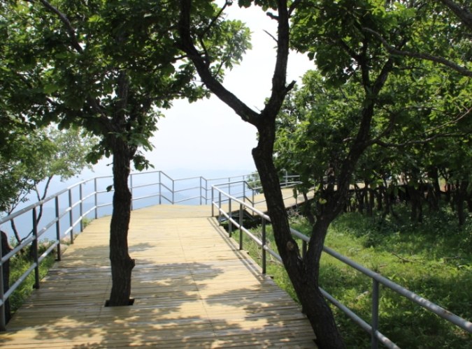 林梢步道 林梢步道