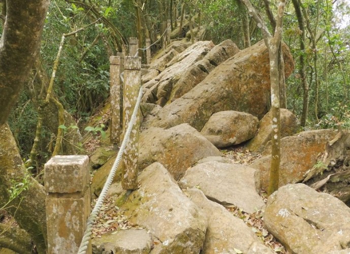 龍麟山步道 龍麟山步道