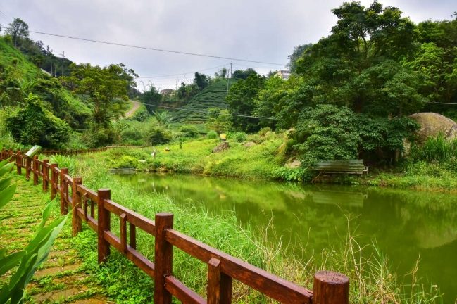 瑞里風景區 瑞里風景區
