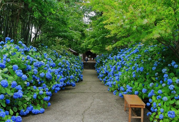 雲昌寺 雲昌寺