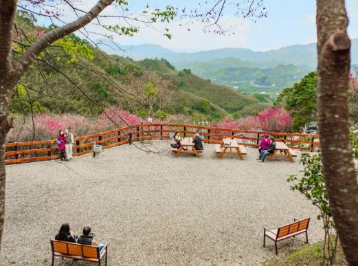 翠墨莊園 翠墨莊園