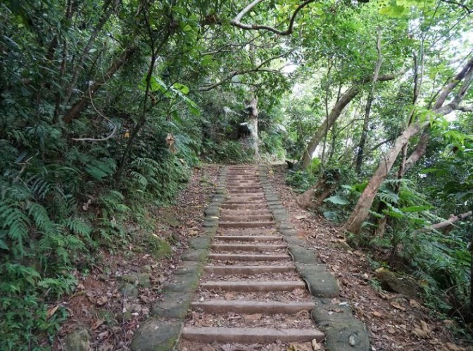 撒固兒步道 撒固兒步道