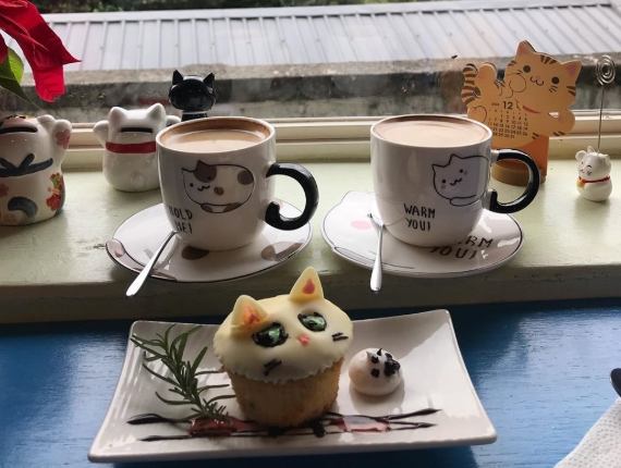猴硐貓村 猴硐貓村