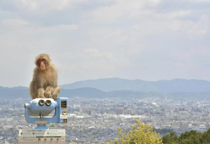 嵐山一日遊