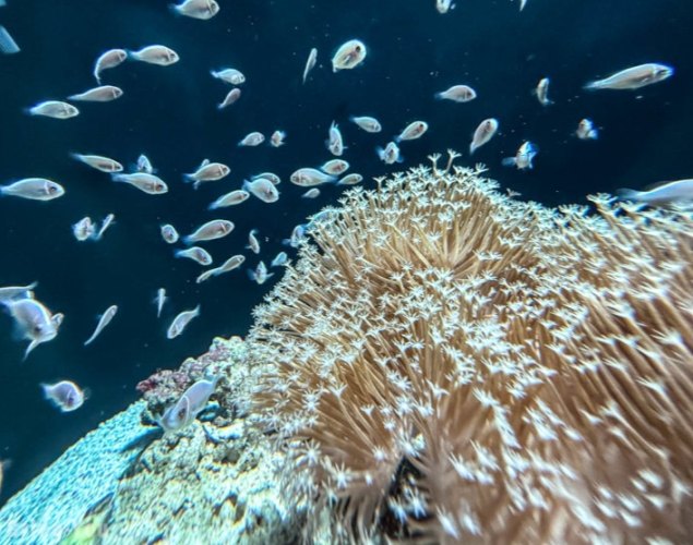 福岡水族館 福岡水族館