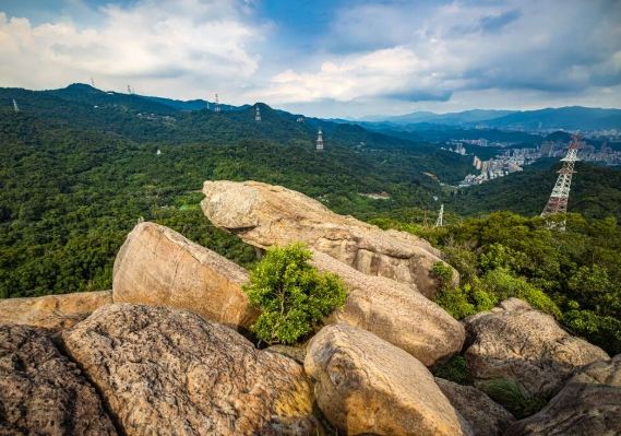金面山 金面山