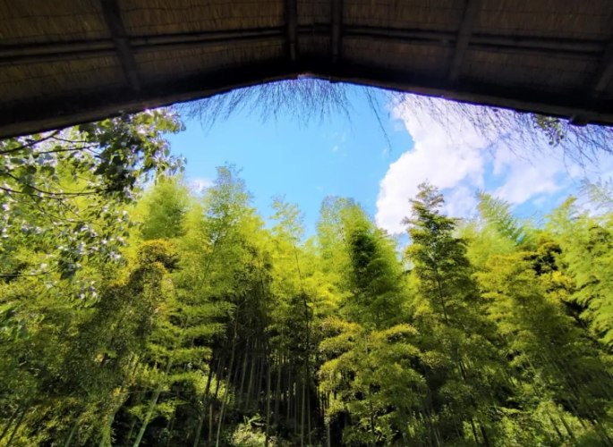 翠山步道 翠山步道