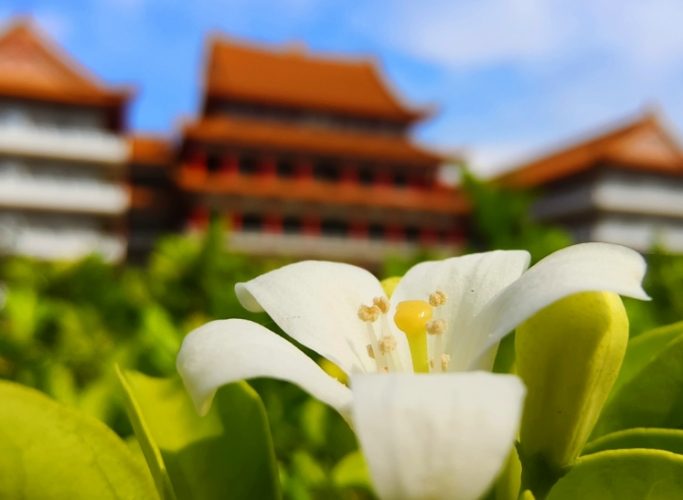 林溪禪寺 林溪禪寺