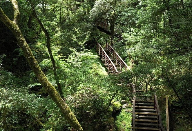 拉拉山國家森林遊樂區 拉拉山國家森林遊樂區