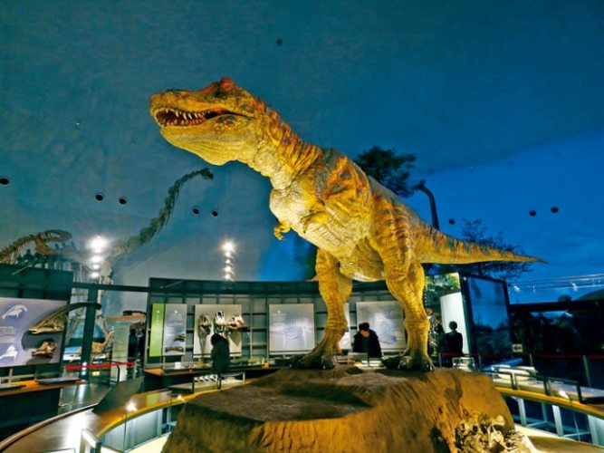 福井縣立恐龍博物館 福井縣立恐龍博物館