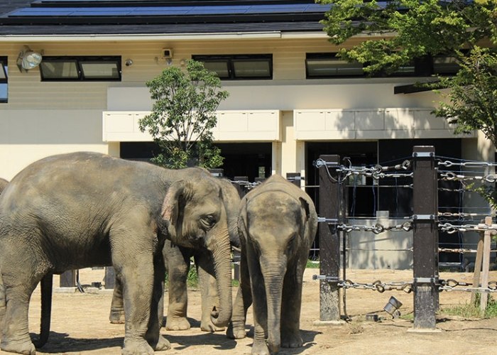 京都市動物園 京都市動物園