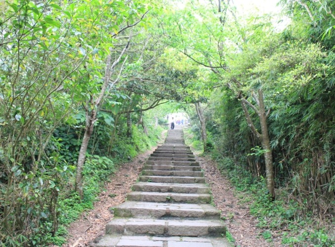 硬漢嶺步道 硬漢嶺步道