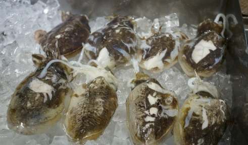 中壢生魚片 中壢生魚片
